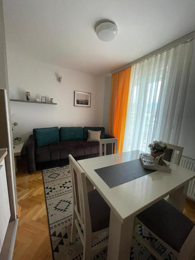 Apartman Miniki Vrnjačka Banja 외부 사진