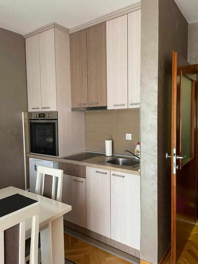 Apartman Miniki Vrnjačka Banja 외부 사진