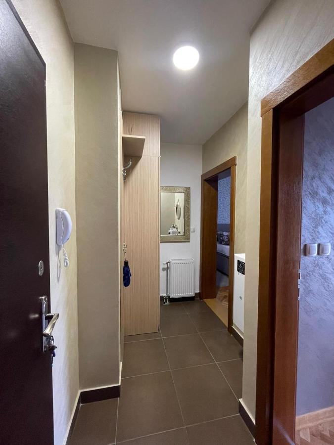 Apartman Miniki Vrnjačka Banja 외부 사진